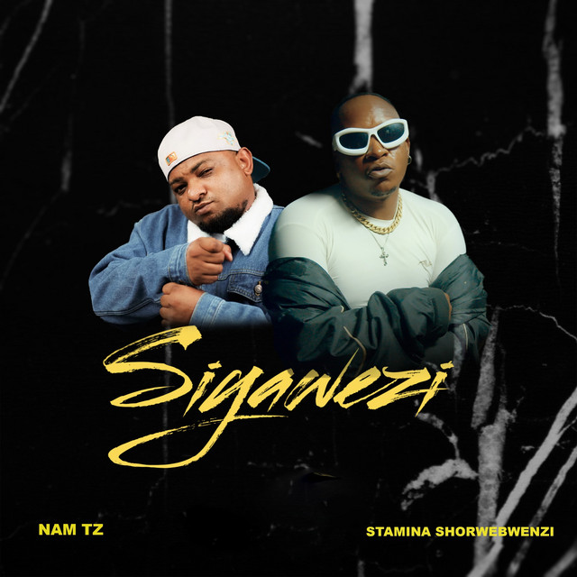 Nam tz x Stamina shorwebwenzi – Siyawezi 