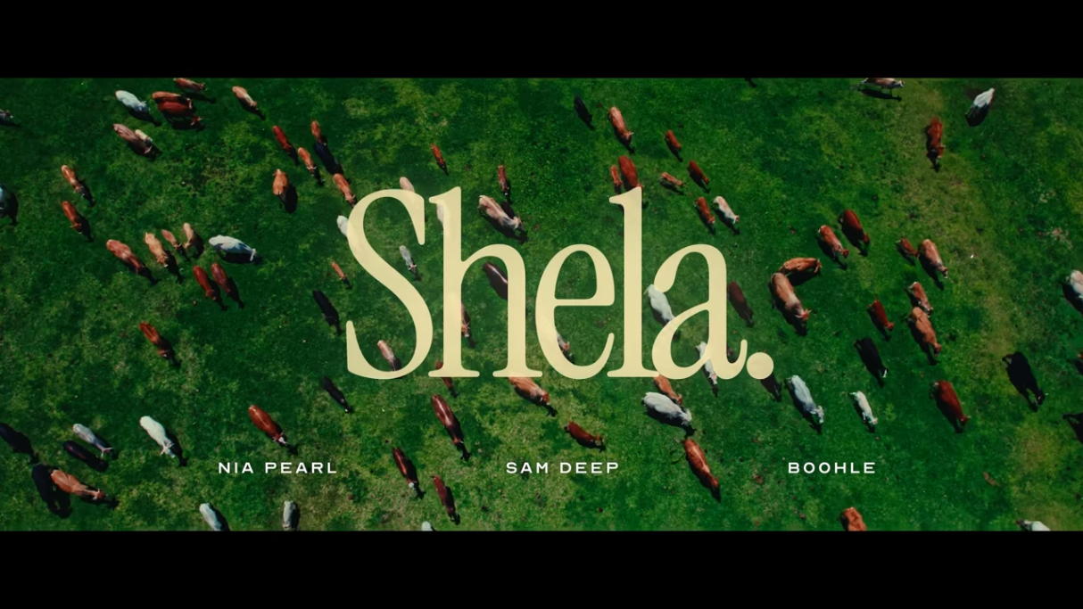 The Top 20 Amapiano songs of 2025